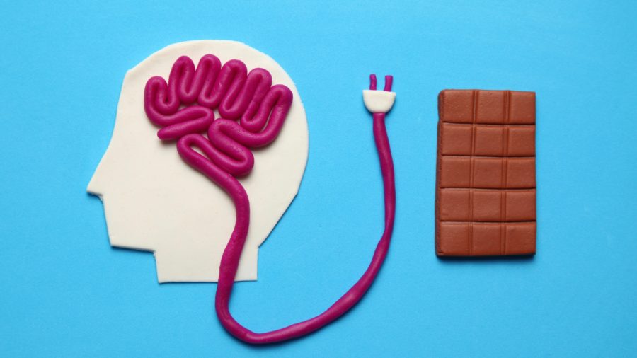 What happens to your brain when you give up sugar, learn more from News Without Politics, NWP subscribe, food, science, health and wellness