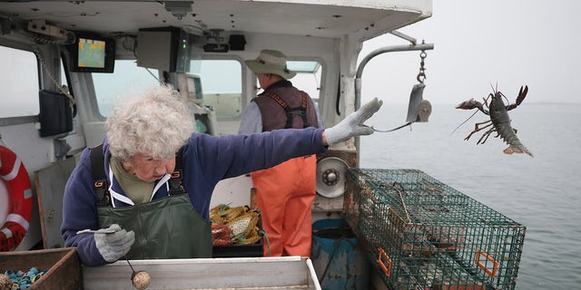 Centenarian lobsterwoman’s Jedi-like lobster catching skills goes viral