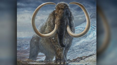 no bias news, Woolly Mammoth’s epic travels revealed in tusk, follow News Without Politics, NWP, subscribe here, tusks, history, animals