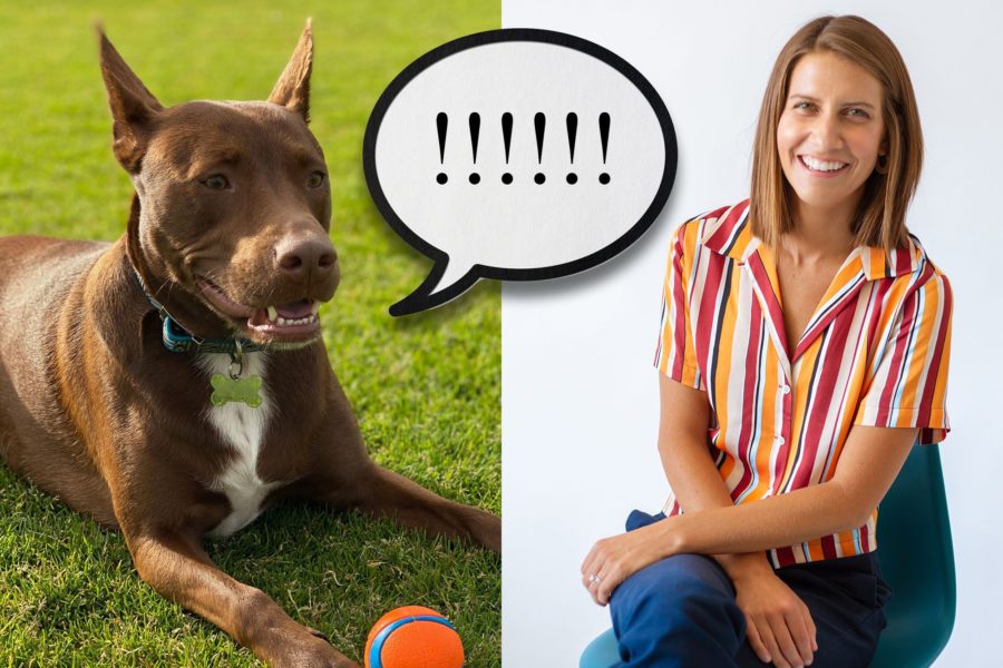 Speech Pathologist teaches her dog to talk