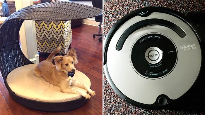 iRobot's latest Roomba detects pet poop, stay updated with unbiased news stories, NWP, News Without Politics, technology, business news