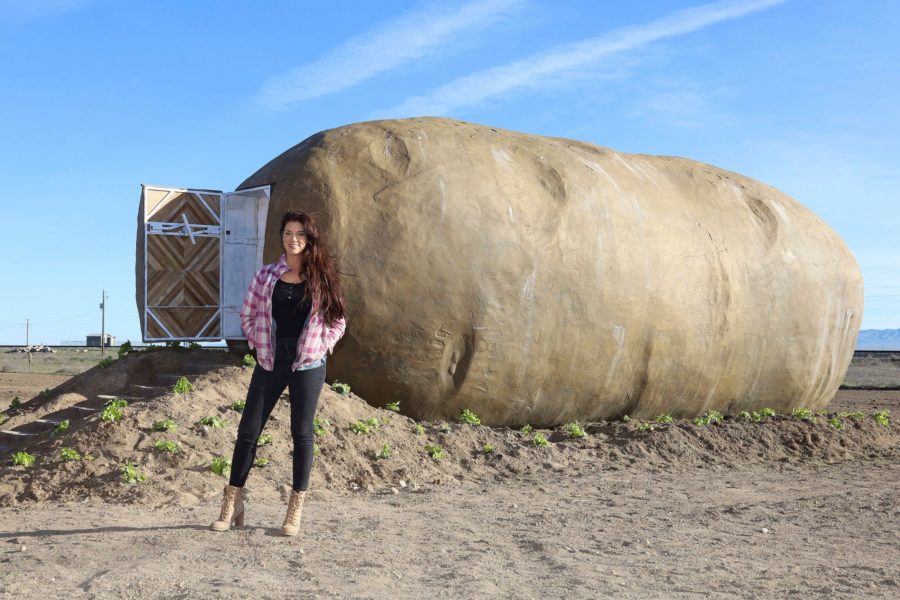 Here’s how to enter to win a trip to Idaho and stay in this giant potato hotel!
