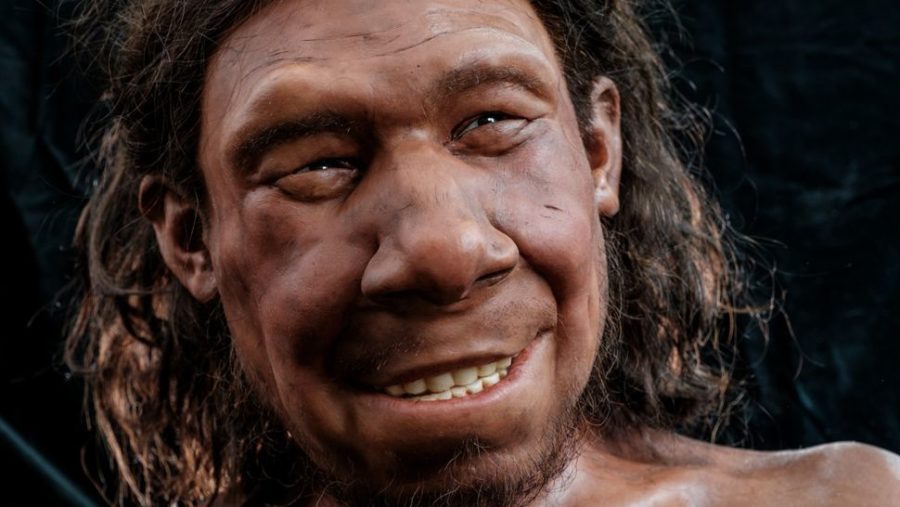 science, Lumpy tumor shown on facial reconstruction of Neanderthal, interesting unbiased news story, learn more from News Without Politics, NWP, subscribe here, Neanderthals, antiquities