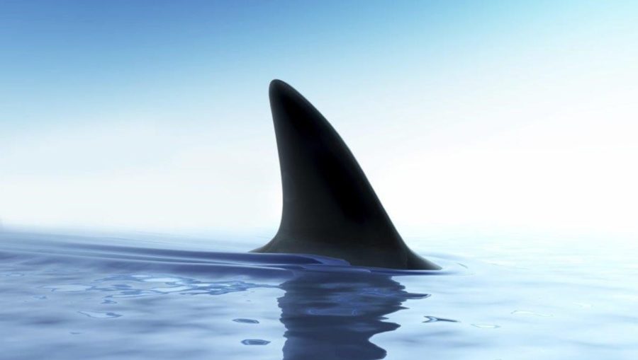 Shark fin Credible news-credible news source-non partisan news-non political news-news-without-opinions impartial news
Best news aggregator 
