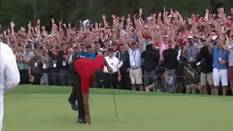 When did Tiger Woods show his first signs of greatness in his pro career?