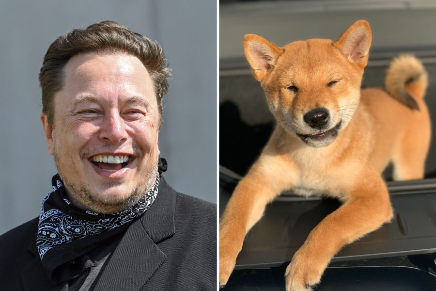 A Cryptocurrency named after Elon Musk’s dog surges 2,400 percent ...