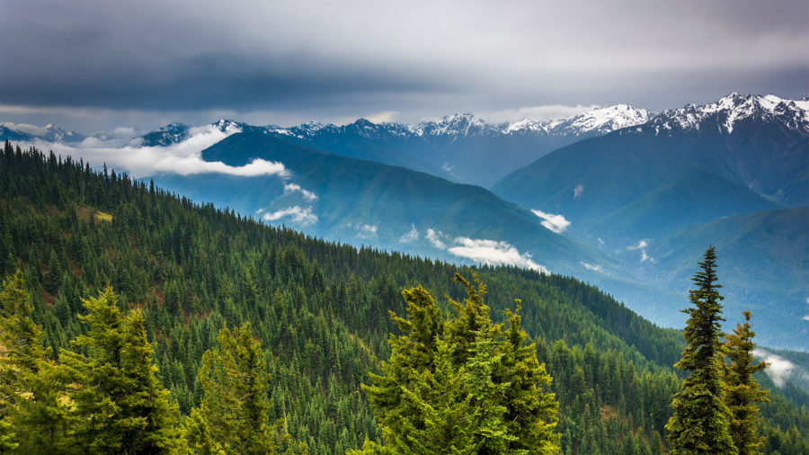 Olympic National Park: 78-year-old hiker missing