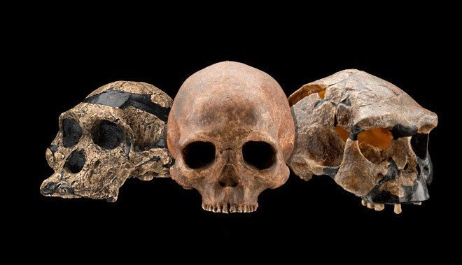 Two major prehistoric human fossil discoveries