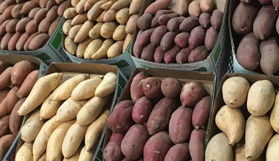 Yams and sweet potatoes are totally different