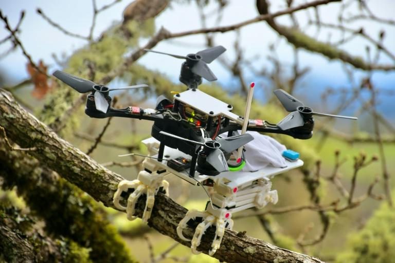 New Aerial Drone Can Land- Grip- and Perch on Branches