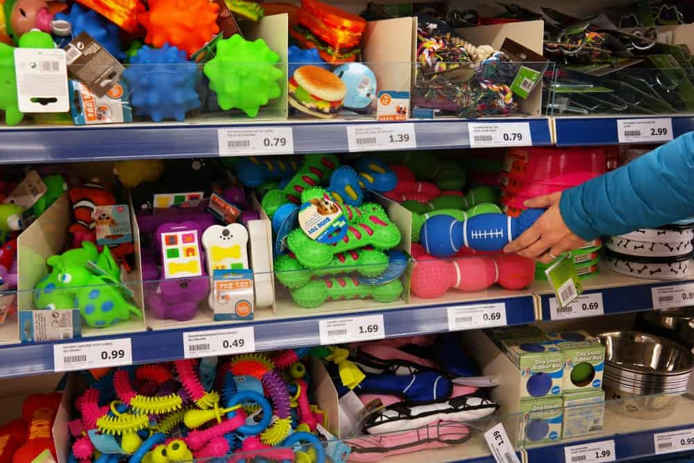 Choosing Safe Playthings Your Pet Will Love