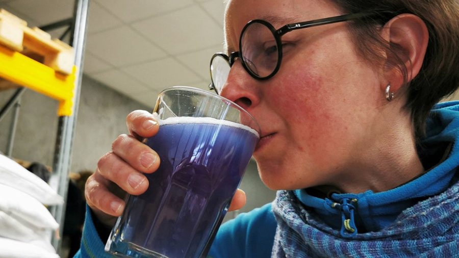 top news-without-bias, What is blue beer made with?, subscribe to News Without Politics