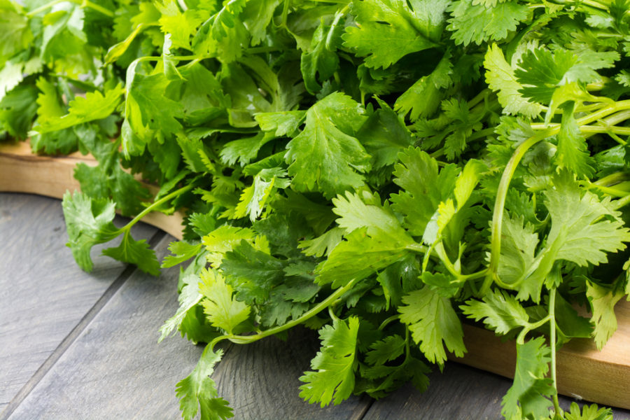 What are the 3 health benefits of cilantro?