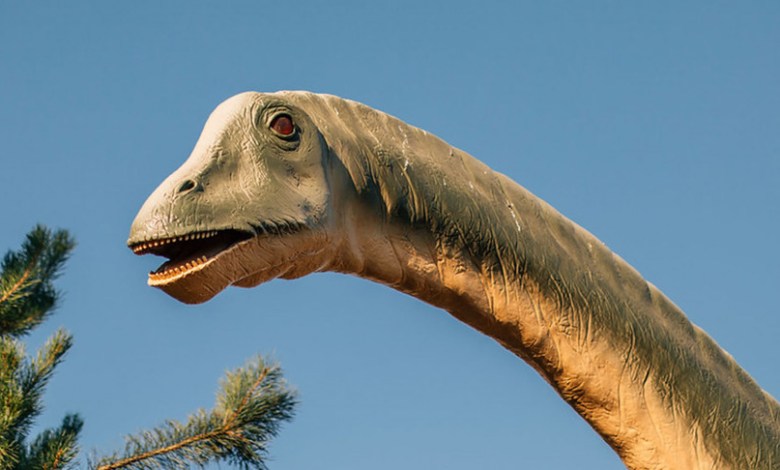 Did ‘Dolly’ the dinosaur have a respiratory illness?