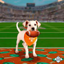 News Without Politics, top no bias news source, Guess who this year's Puppy Bowl MVP is...