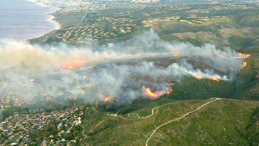 Laguna Beach fire: immediate evacuation orders in place!, subscribe to News Without Politics, news unbiased daily