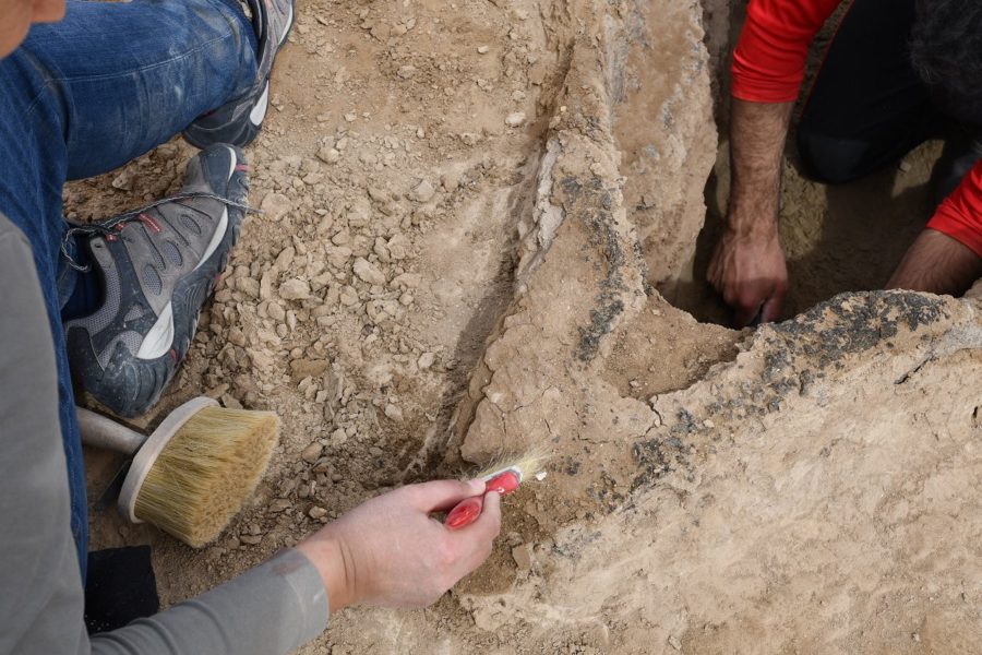 4,000-year-old-boat excavated in Iraq-researchers say