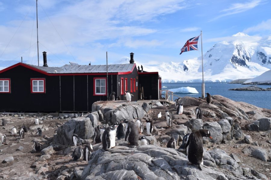 Is the Antarctica’s ‘Penguin Post Office’ still hiring?