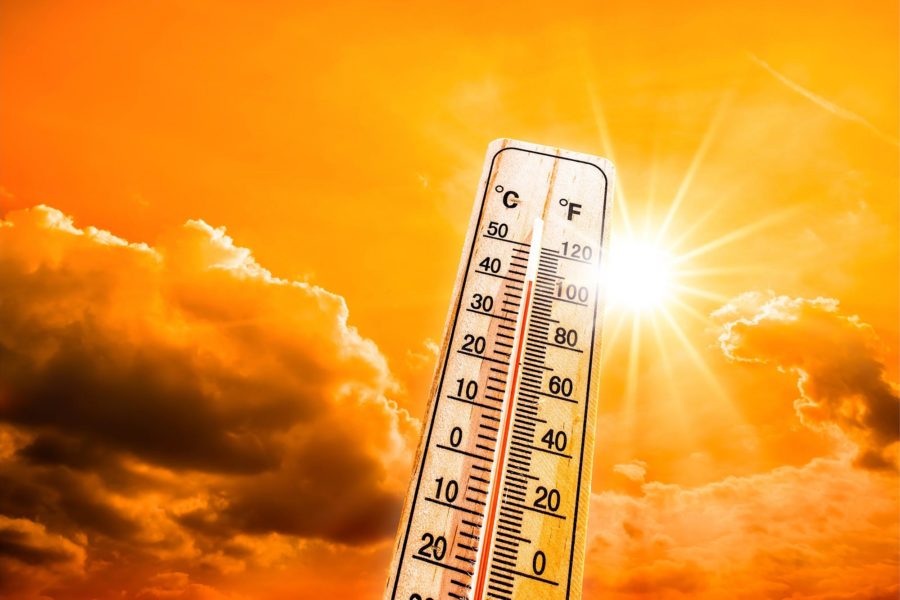 Here's how to protect yourself when a heat wave hits your neighborhood